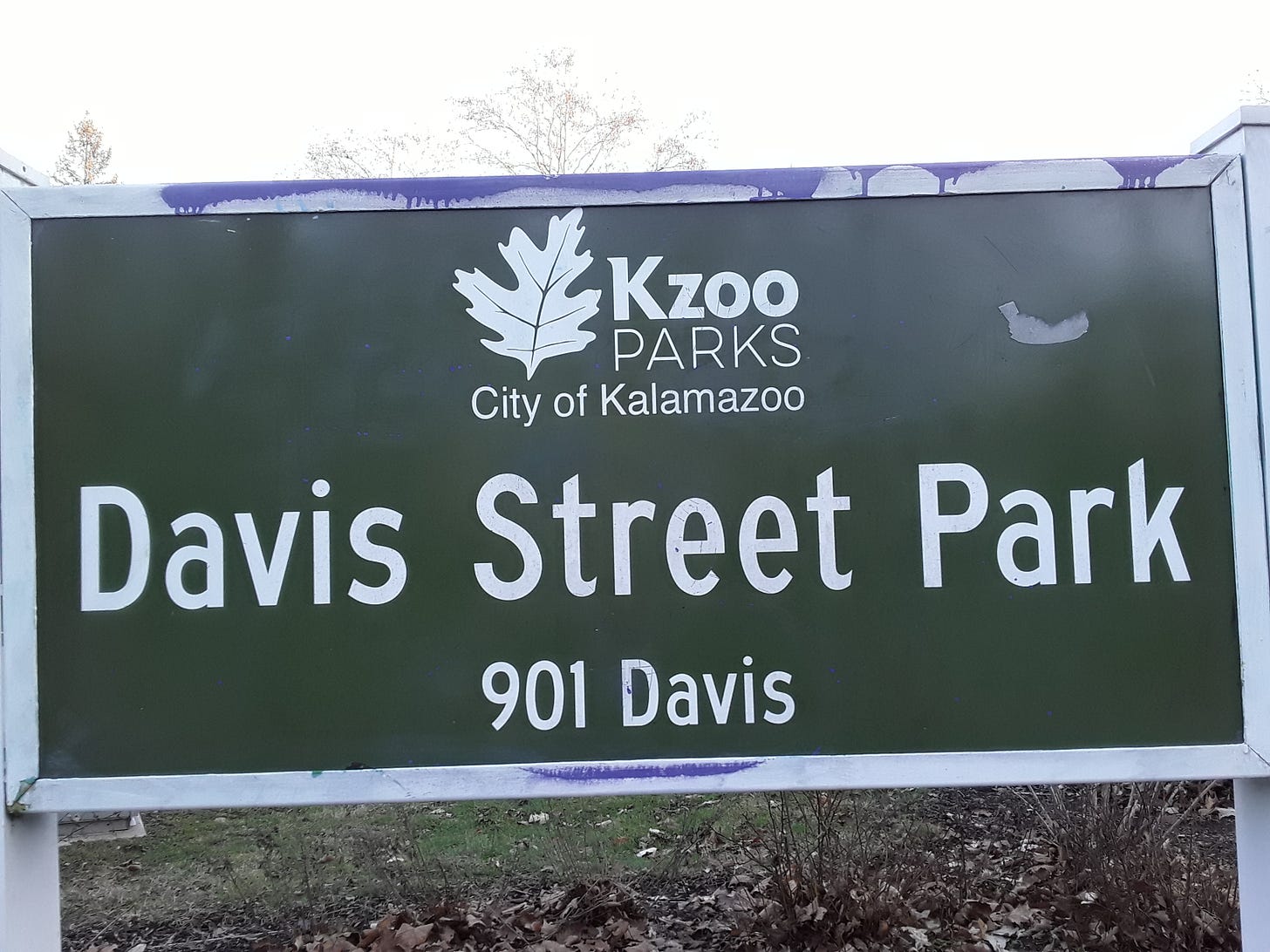 After graffiti removal photograph of Davis Street Park main sign on Monday, January 9, previously posted on my campaign Facebook page.