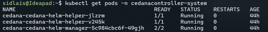 Using Cedana to Live-Migrate Stateful Workloads Between Spot Instances
