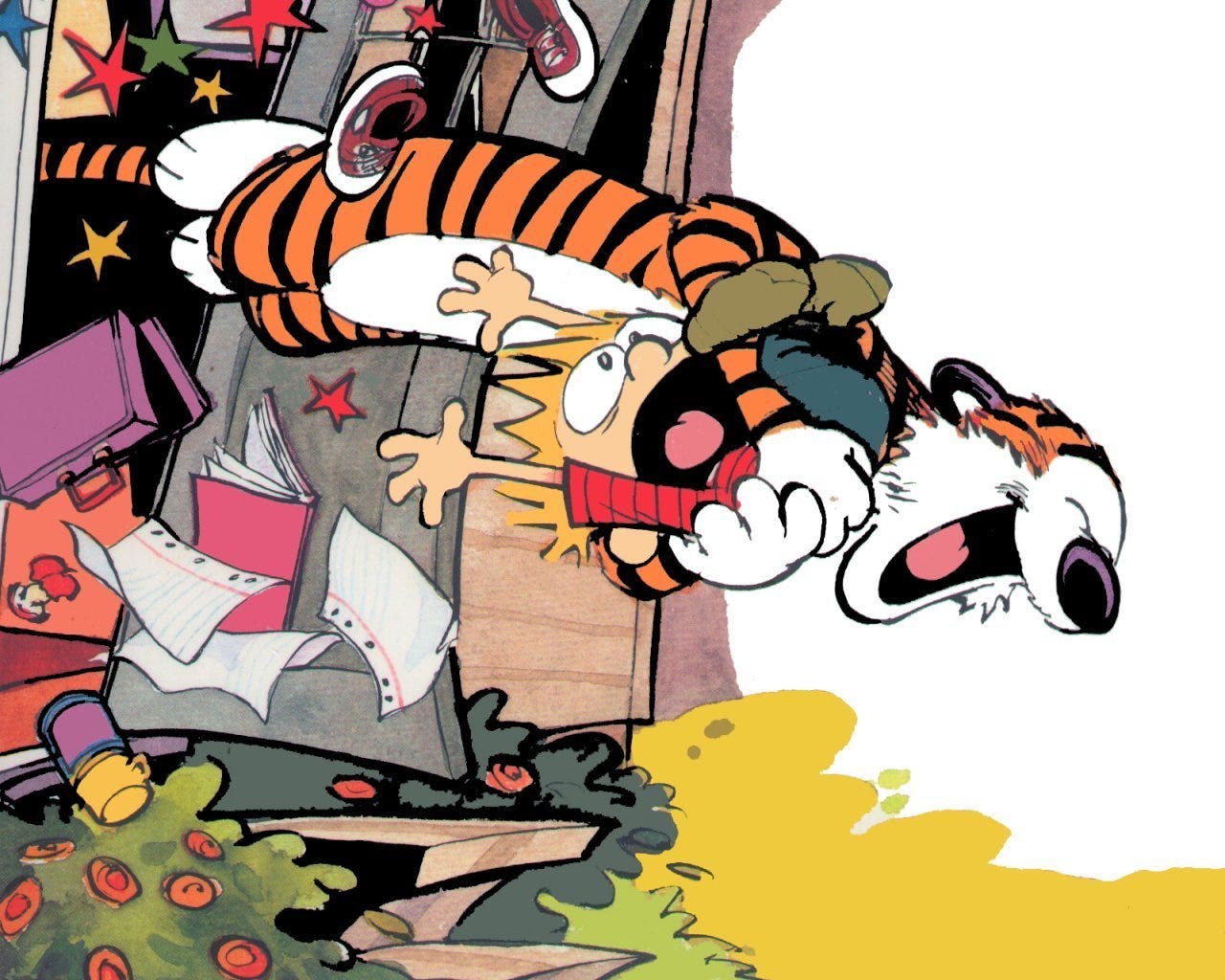 Calvin and Hobbes - Calvin & Hobbes Wallpaper (1395529) - Fanpop