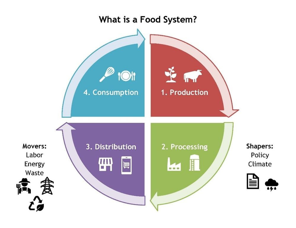 The food system is a circle divided into the four areas of activity: production, processing, distribution and consumption. These are linked by areas on the circumference of the pie. On the outside are shapers (climate and policy) and movers (labor, energy and waste).