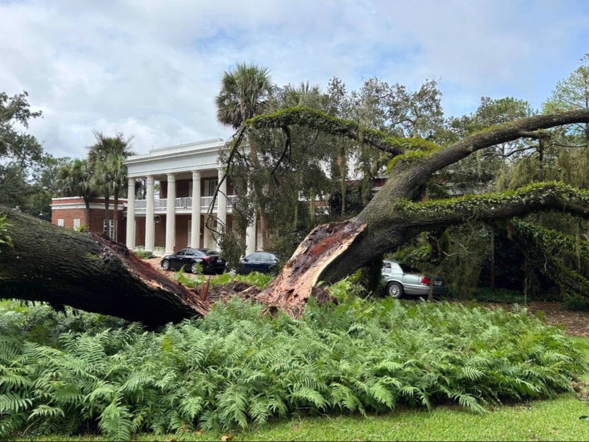 Tree falls on Ron DeSantis mansion with his family inside as Hurricane  Idalia rocks Florida | The Independent