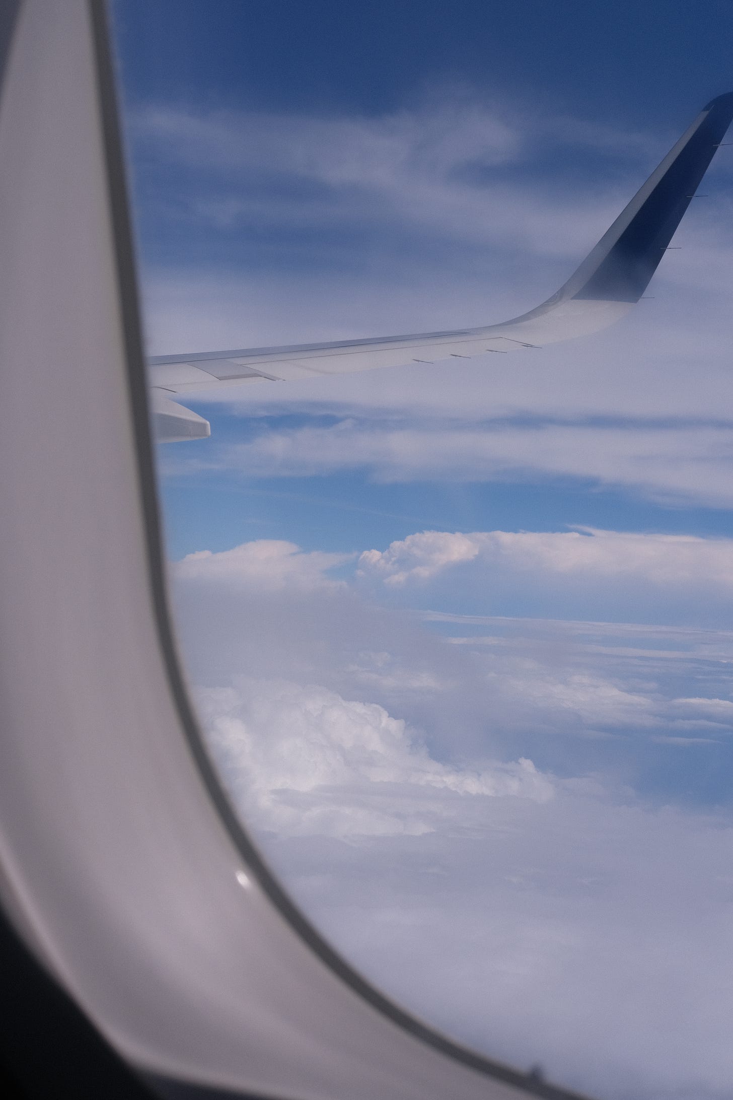 Solo travel stories airport saga flight to australia by food and travel writer Courtney Jill Bishop.