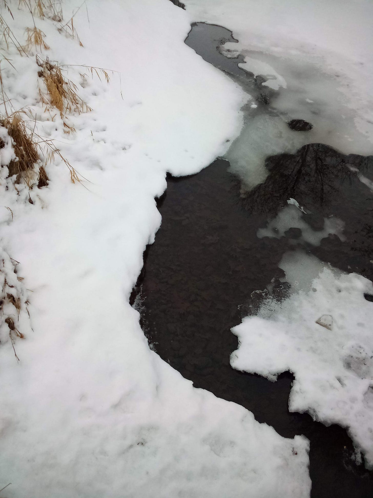 Ice breaking up on a creek