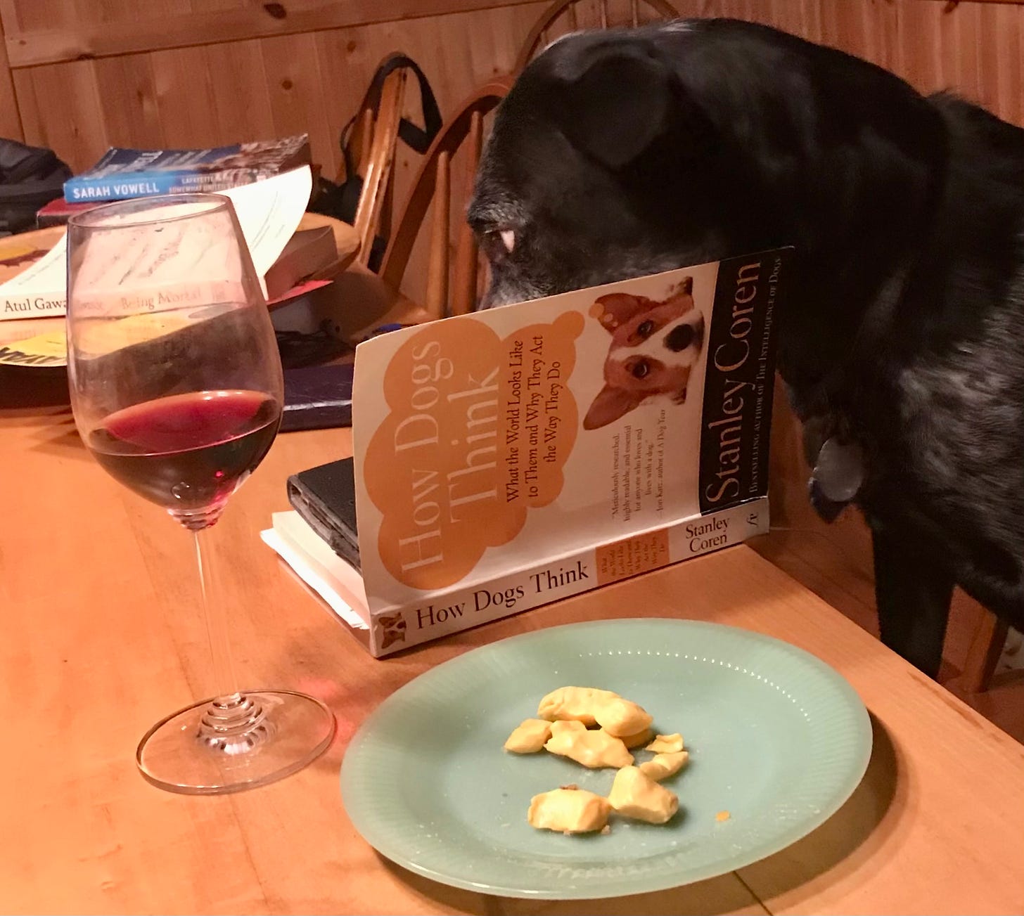 Dog with wine and book