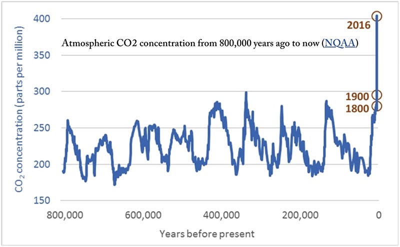 A graph showing CO2 concentration going up significantly in recent years