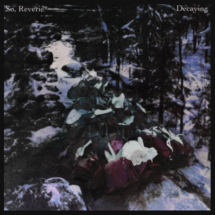 Decaying debut single by So, Reverie