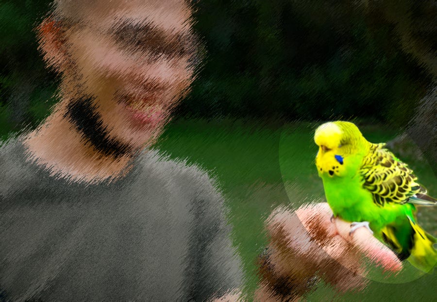 A neon-bright green and yellow budgie sits on a person's finger in Cihu Park, Taoyuan (Taiwan)