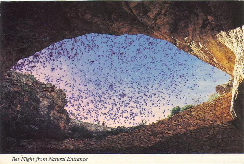 The Bat Cave - North and South Rivers Watershed Association