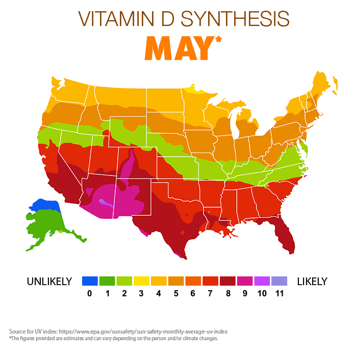 Vitamin D synthesis May