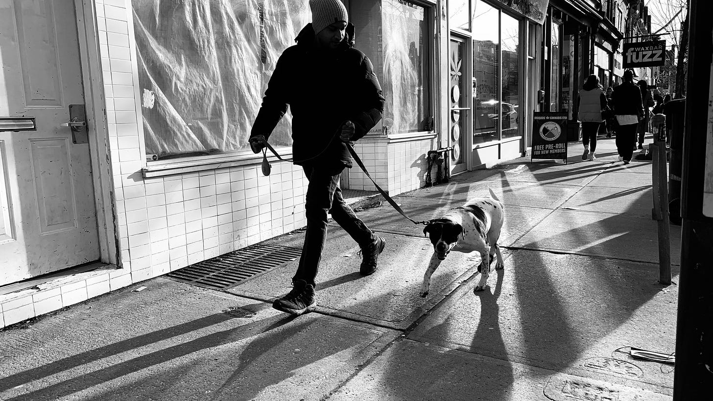 toronto Toronto streets street photography a man walking his dog