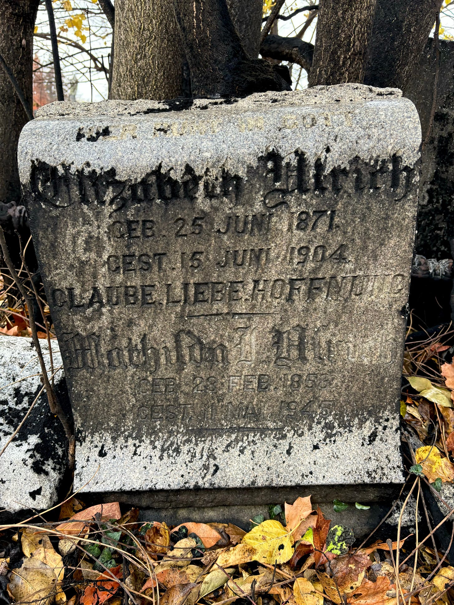 An aged headstone. In gothic text reads the name Elizabeth Ulrich. The dates are 25 Jun 1871 and 15 Jun 1904. The epitaph seems to read: CLAUBE. LIEBE. HOFFENJUNO.