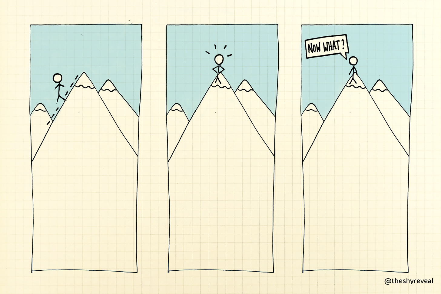 A comic strip of a stick figure climbing a mountain, then saying: "Now what?".