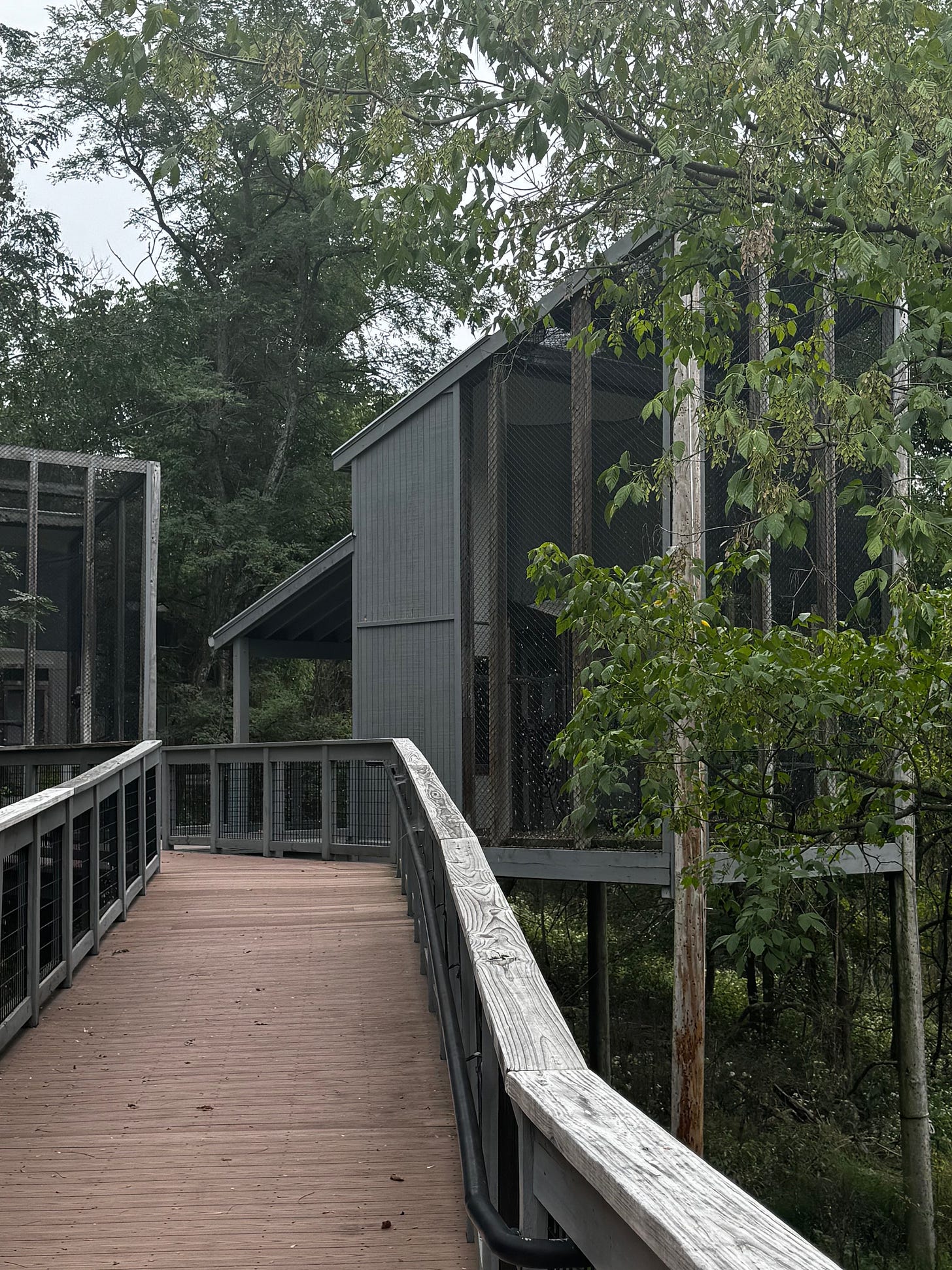 A HOME FOR WOUNDED BIRDS