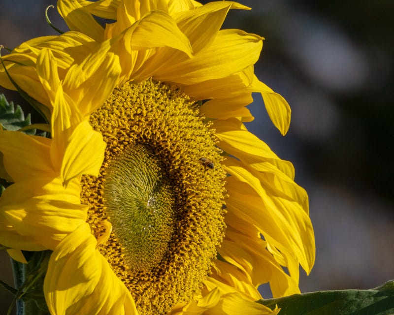 20250106-Marana-30-Edit.jpg