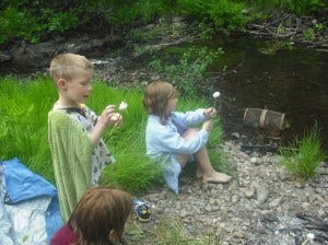 campfire cooking