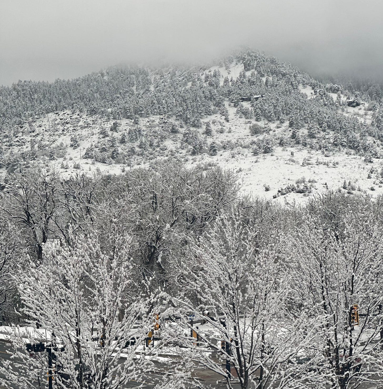 A snowy landscape in Boulder.