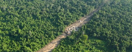 La forêt de Prey Lang et le tracé de la ligne électrique