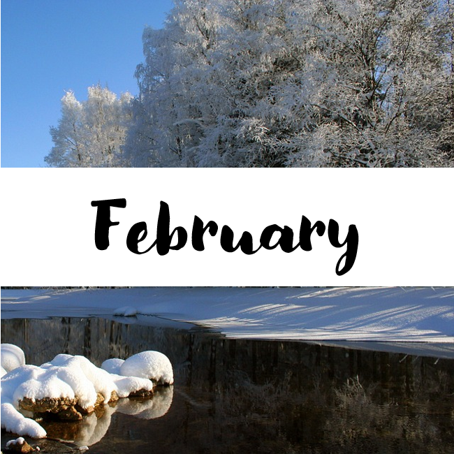February. Text on a picture of snowy trees.