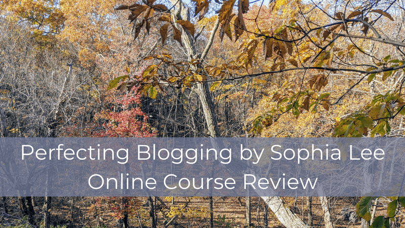 Perfecting Blogging by Sophia Lee Online Course Review