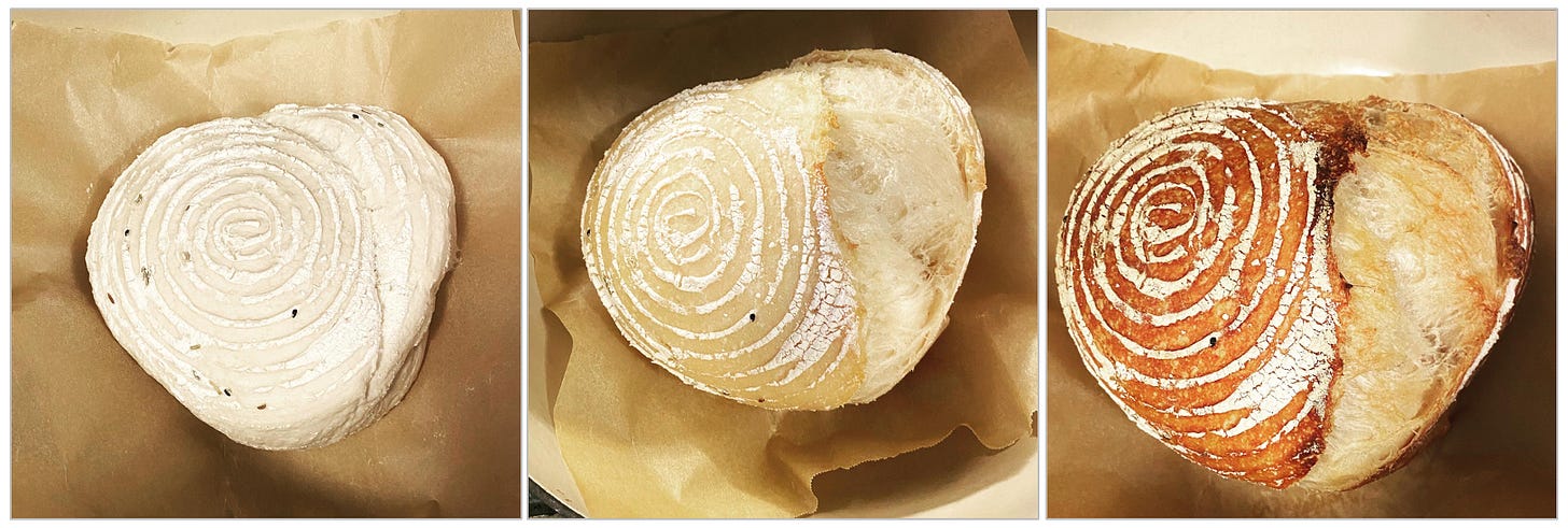 Sourdough Loaf: Pre-bake, Mid-bake, Final-bake