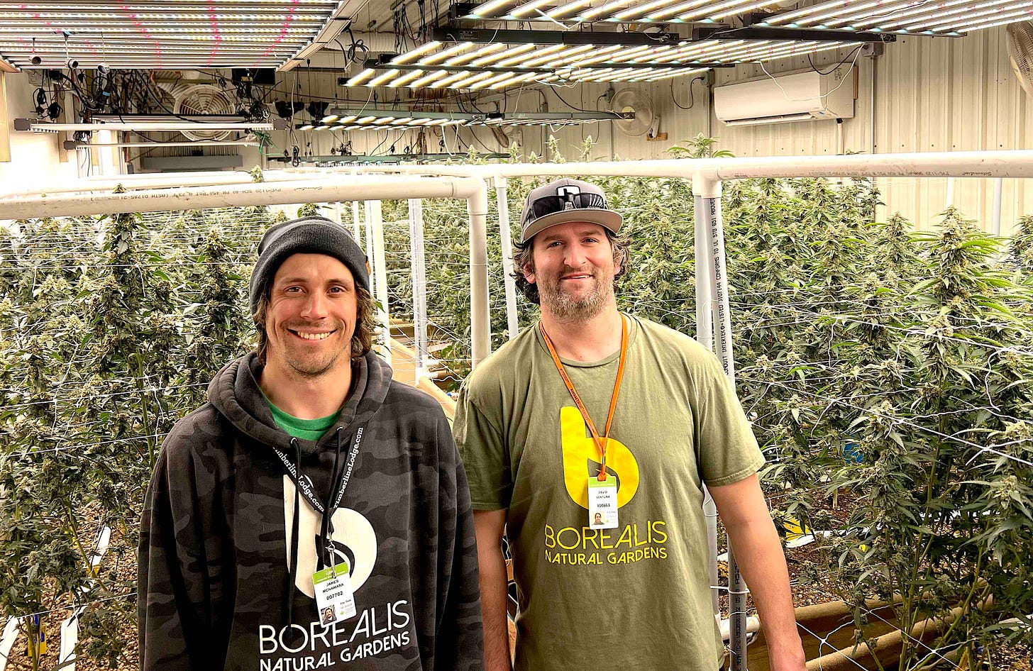 two smiling men in indoor marijuana grow
