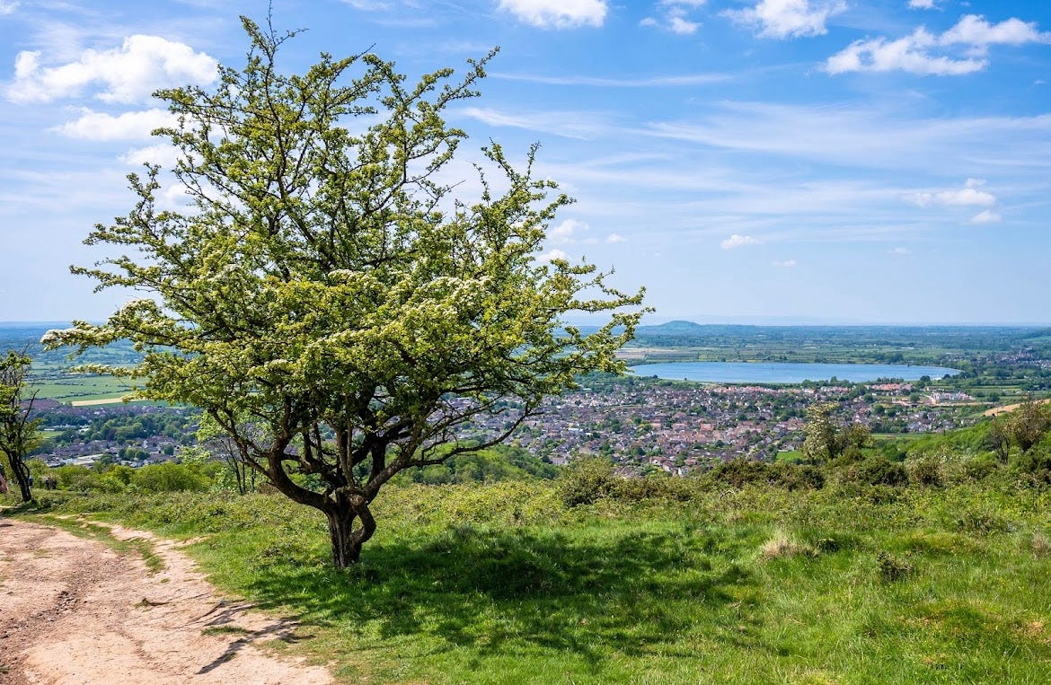 View from the real “Blue Hills” around “Torminster” in Henrietta’s House by Elizabeth Goudge