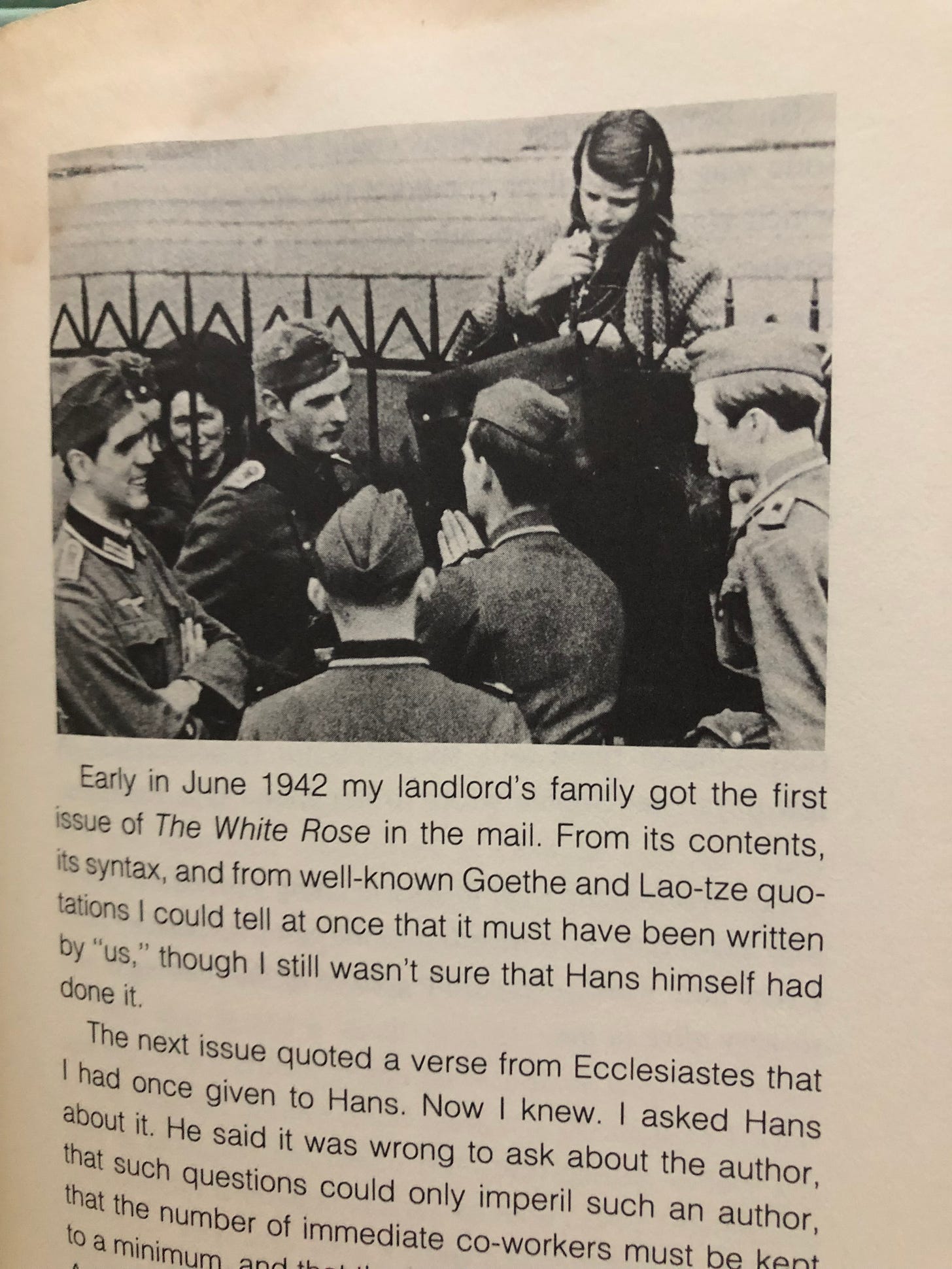 Picture from Hermann Vinke book, which shows an old photo circa 1942 of Sophie at a gate, while her brother and friends (and other members of the White Rose) are on the other side of it, in their full military uniforms.