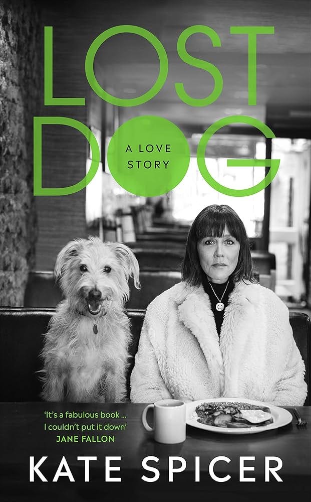 Lost Dog: A Love Story: Amazon.co.uk: Spicer, Kate: 9781785039195: Books