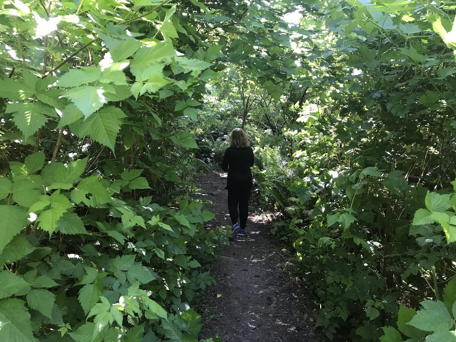 walking on a trail on the Oregon Coast