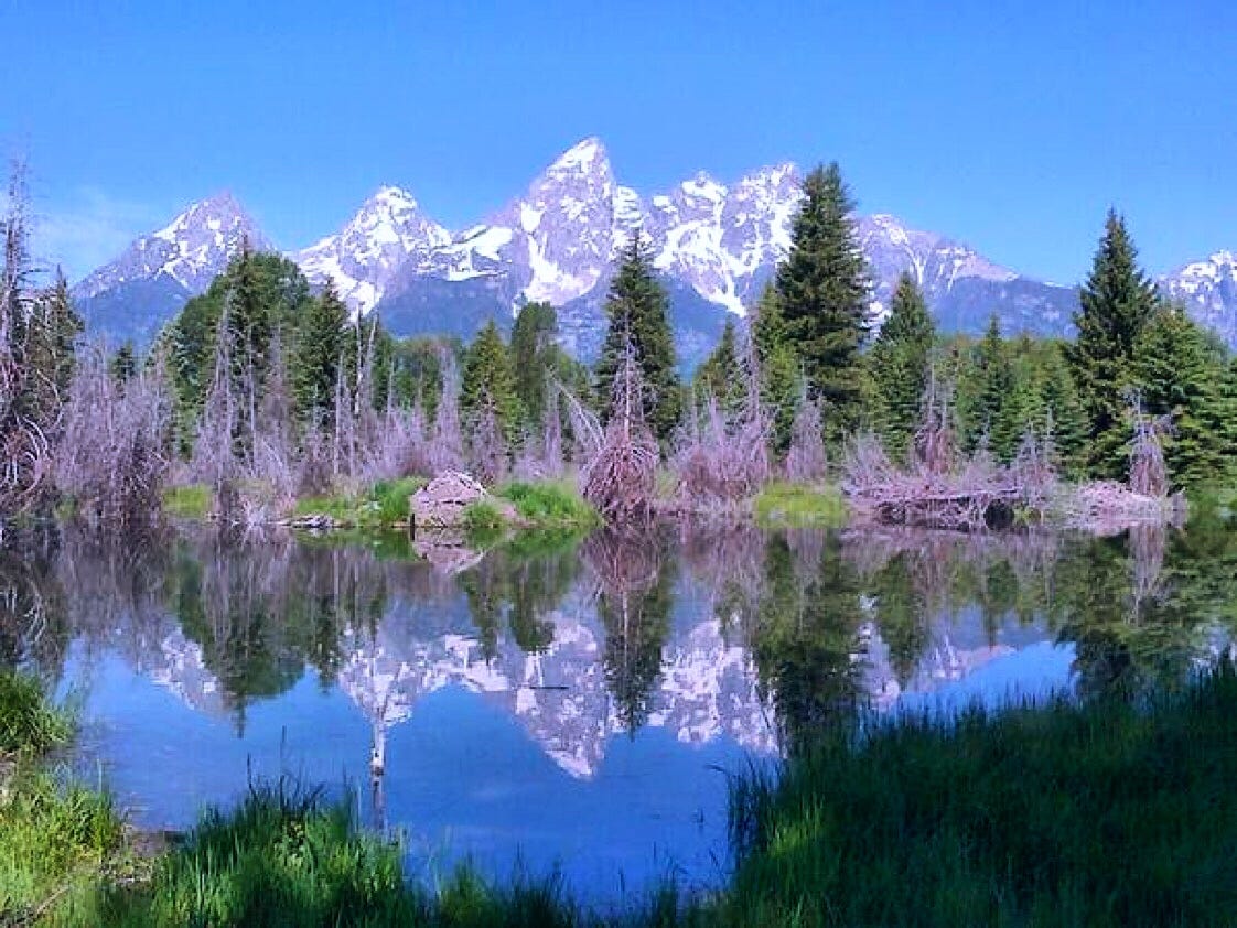 mountains reflecting in the water