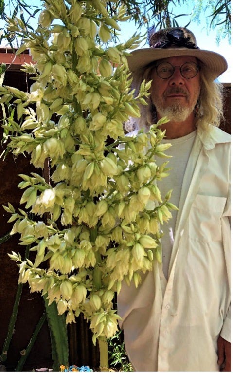 Terry with yucca flowers