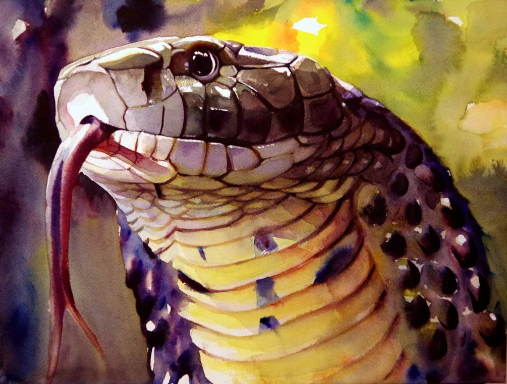 King Cobra by Joseph Broderick