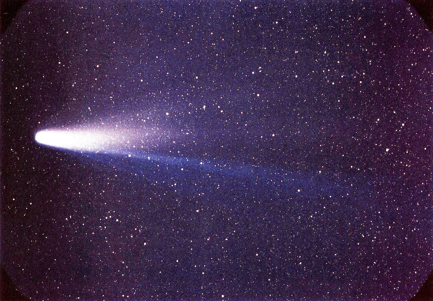 Halley's Comet - Wikipedia