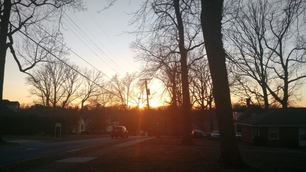 A scene just before sunset. Trees and powerlines line the street.