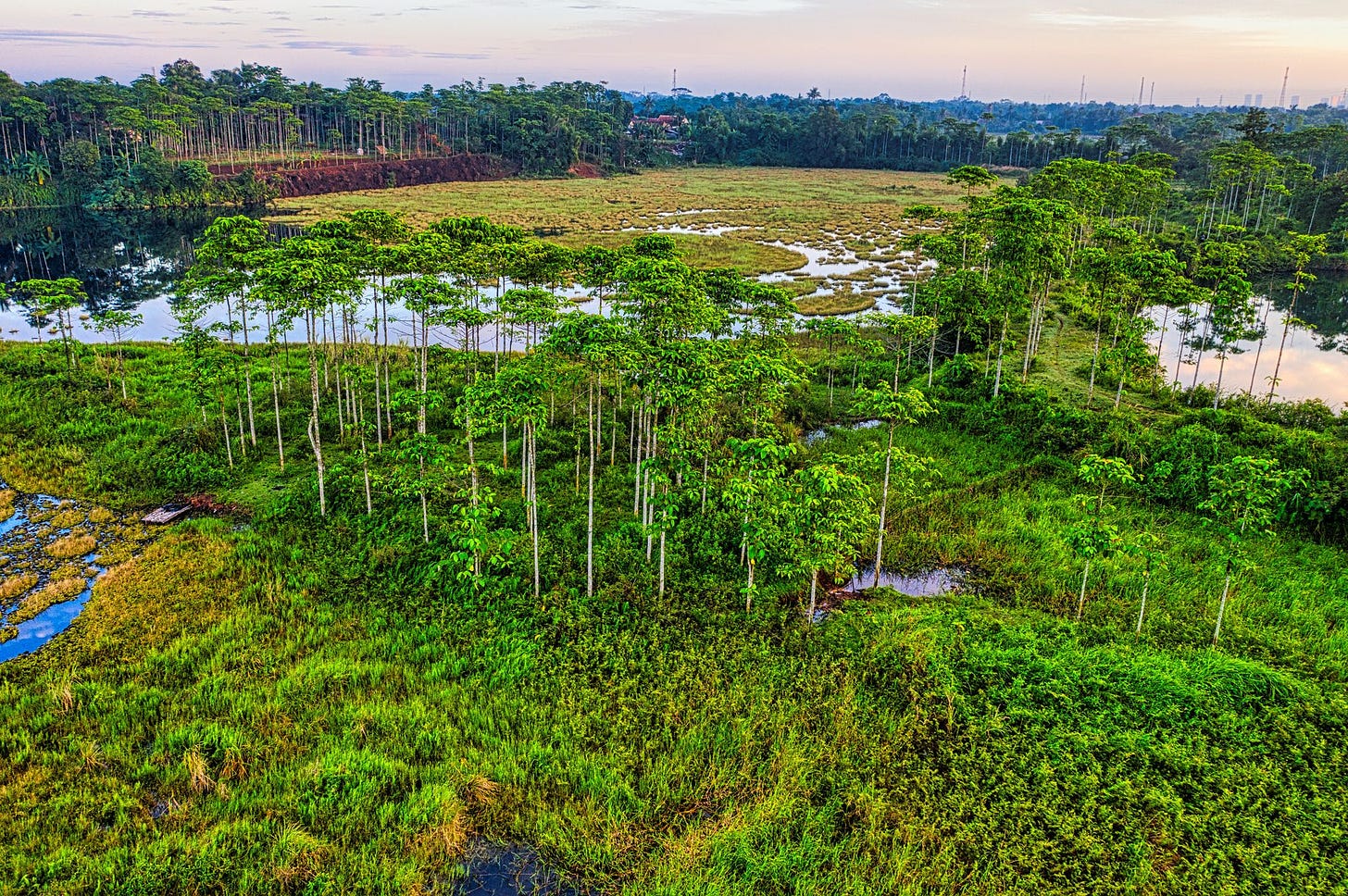 Photo of marsh by Tom Fisk from Pexels