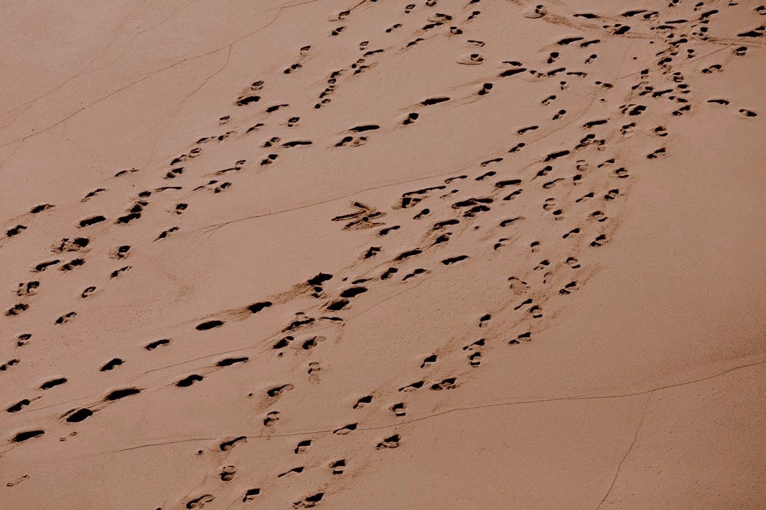 footprints on brown dessert