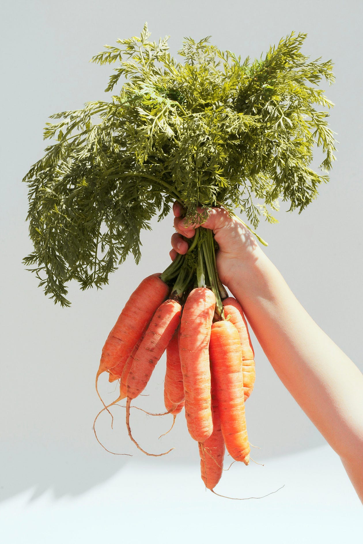 a person clutching a bunch of carrots with the green stems still attached