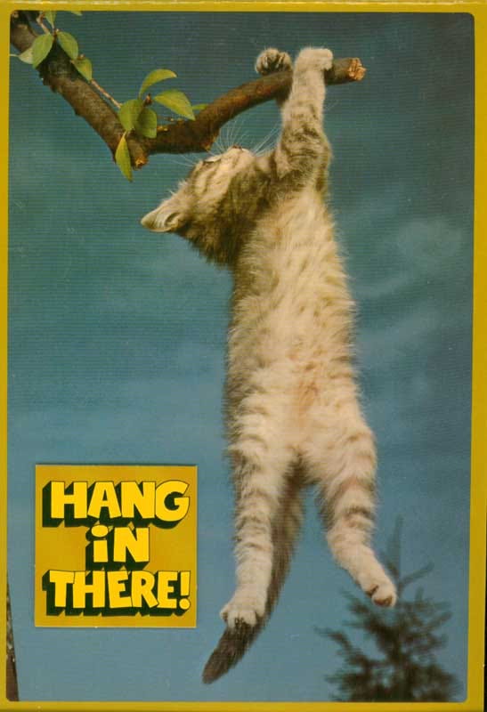 CatCard2 | Vintage 70s Hallmark Fold Down "Hang-in-there" ca… | Flickr