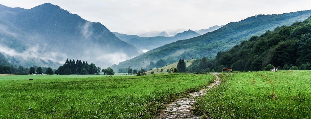 gray and white pathway between green plants on vast valley