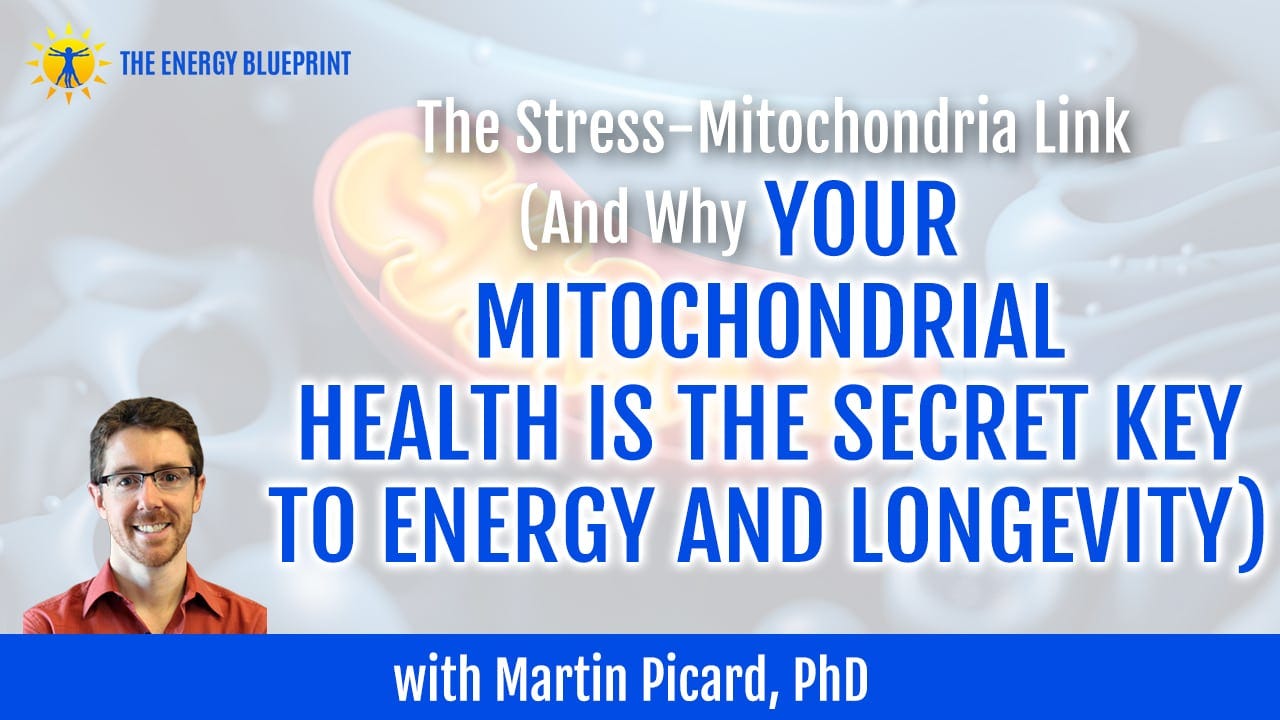 The Stress-Mitochondria Link (And Why Your Mitochondrial Health Is The  Secret Key To Energy And Longevity) With Dr. Martin Picard, PhD - The  Energy Blueprint