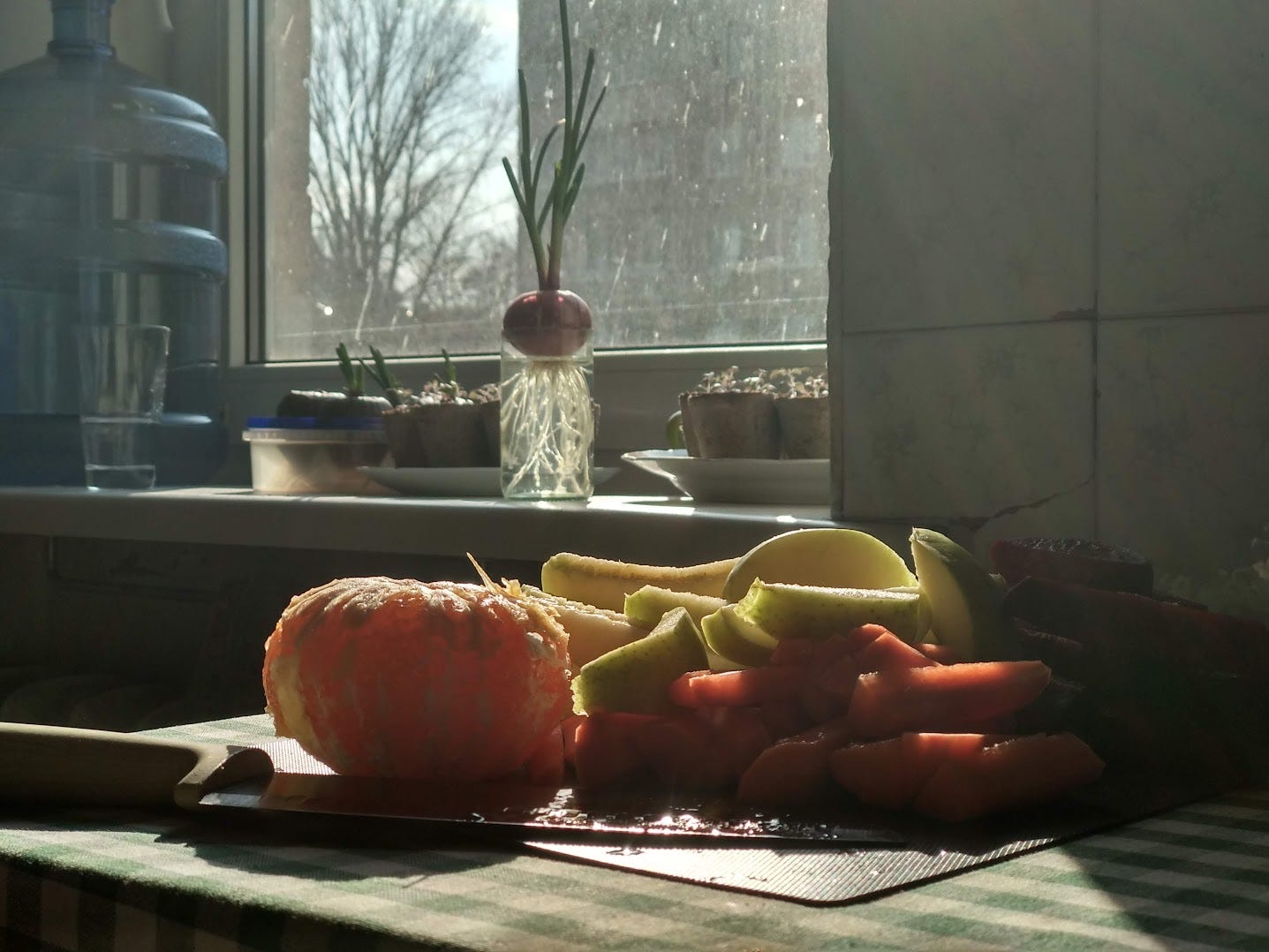 На передньому плані нарізані фрукти: мандарини, яблуко, морква. На задньому плані підвіконня, залите світлом, на ньому стоїть велика пляшка з водою, цибуля в баночці з водою, розсада. 