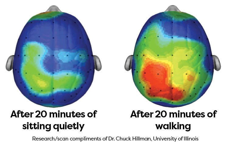 X-এ Amy Jo Martin: "Your brain after sitting quiet for 20 minutes vs. your  brain after 20 minutes of walking. This is why we should schedule walking  meetings. I share thoughts in