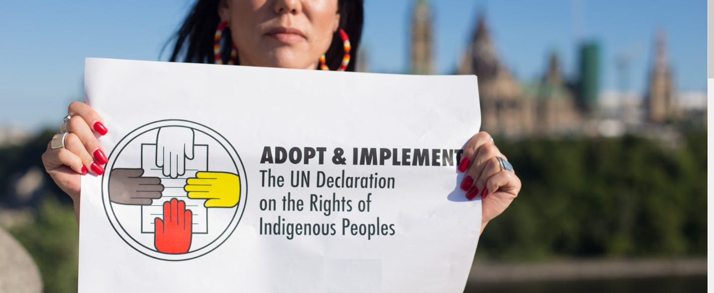 UNDRIP: Walk the Talk of Reconciliation