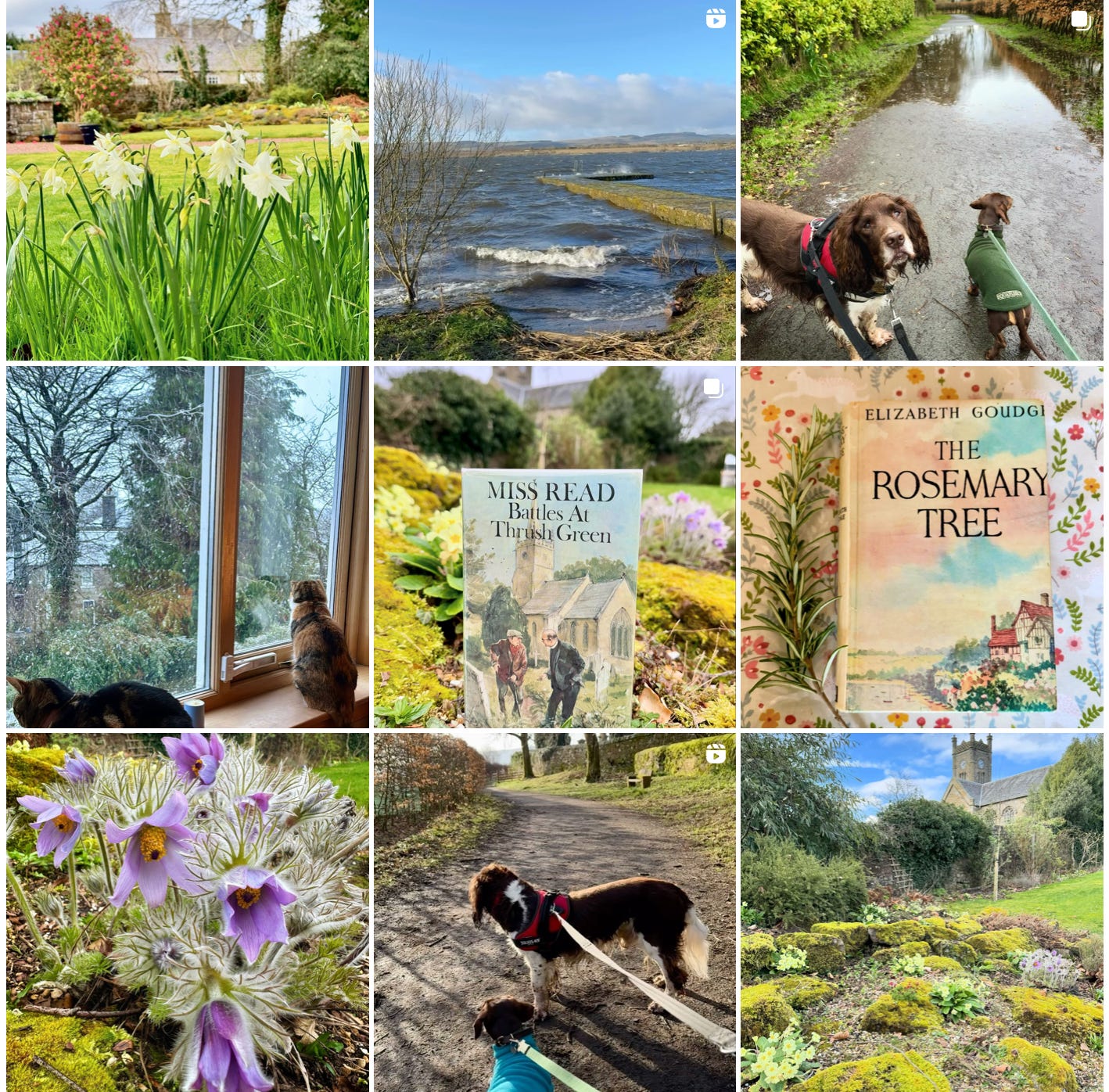 Photo of Carla Brown’s Instagram account with books, gardens and her pets