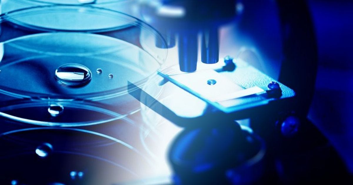 Judges Scientific plunges as first half orders disappoint | AIM:JDG