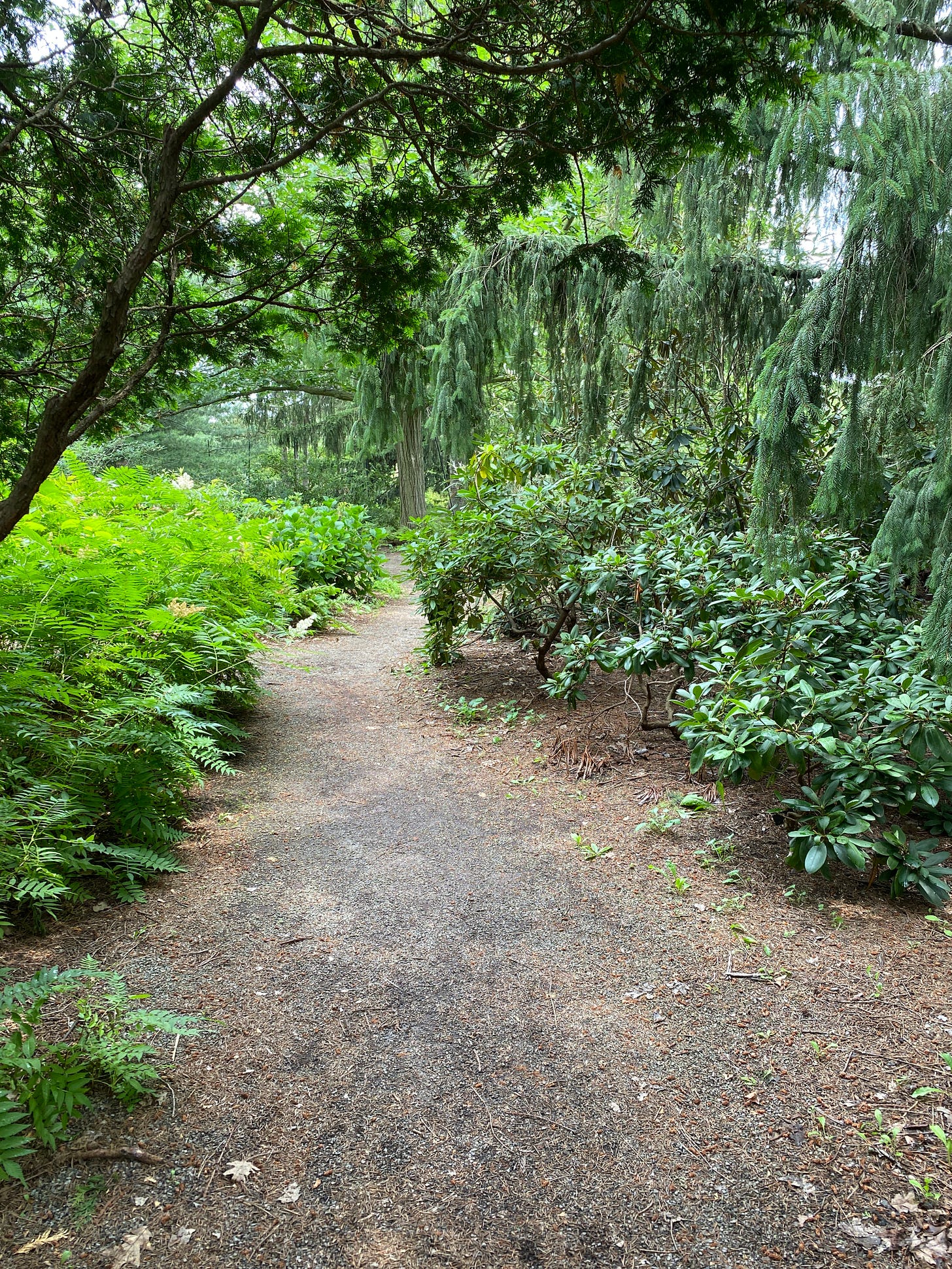 A path in the Niagara Parks Botanical Gardens