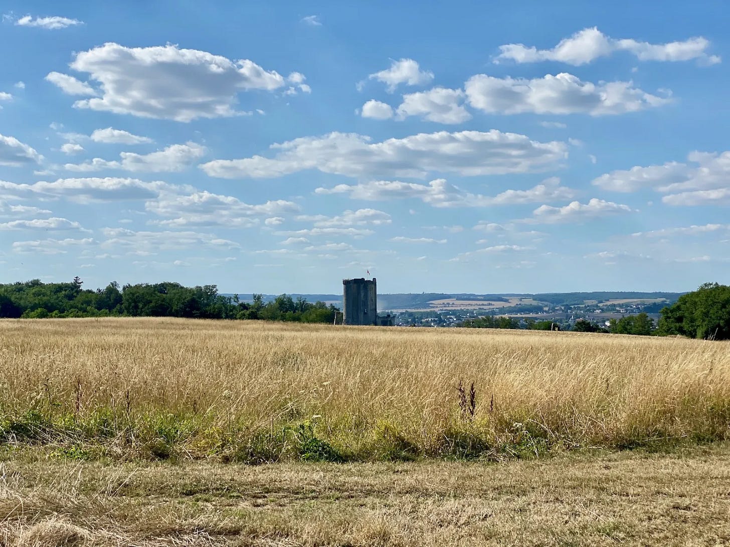 Entre forêts et champs Entre forêts et champs