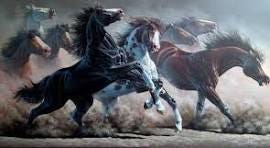 STAMPEDE | Horse painting, Horse art, Horse artwork