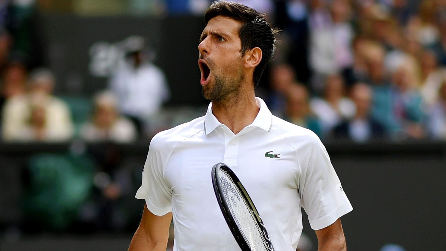 novak djokovic mouth open taking in roger federer bulge at wimbledon 2019