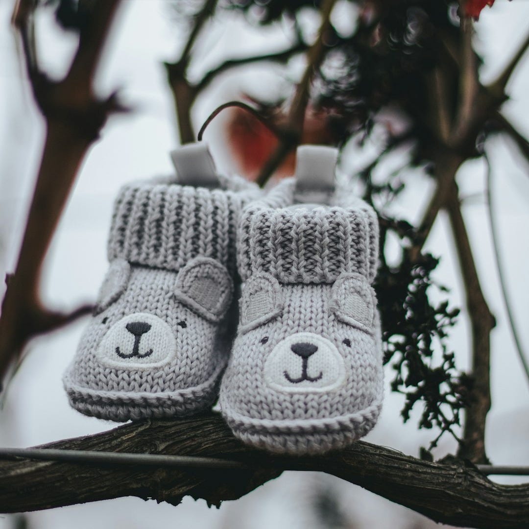 pair of grey knit shoes on tree branch pair of grey knit shoes on tree branch